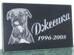 Looma portree hauakivil - koer (Dzesika)
