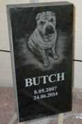 Looma portree hauakivil - koer (Butch)