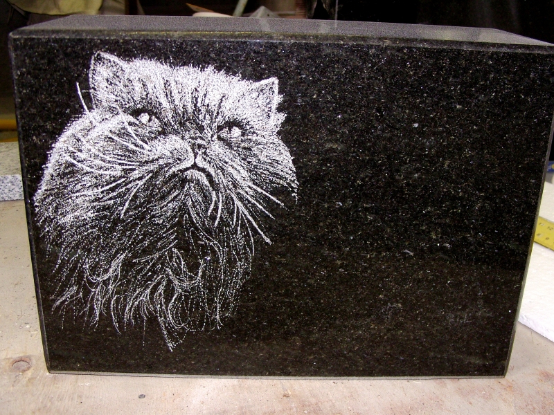 Looma portree hauakivil - kass