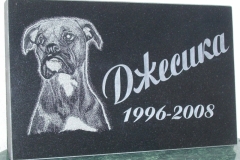 Looma portree hauakivil - koer (Dzesika)