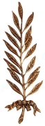 Toode nr 1188 - Pronks leht 32cm